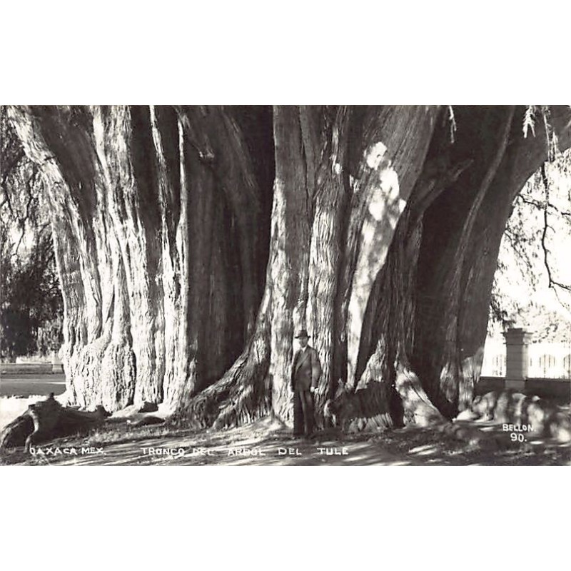 Rare collectable postcards of MEXICO. Vintage Postcards of MEXICO