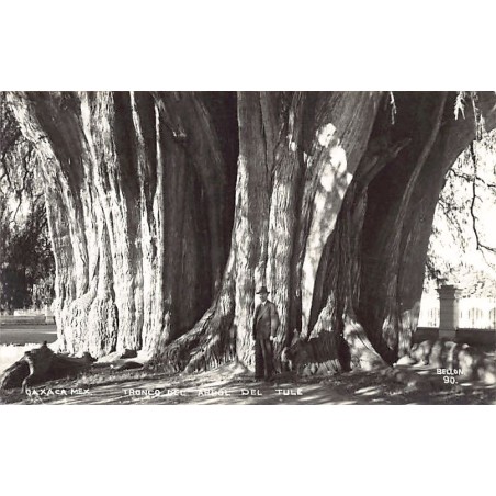 Rare collectable postcards of MEXICO. Vintage Postcards of MEXICO