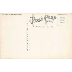 Rare collectable postcards of USA. Vintage Postcards of USA