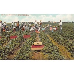 Rare collectable postcards of USA. Vintage Postcards of USA