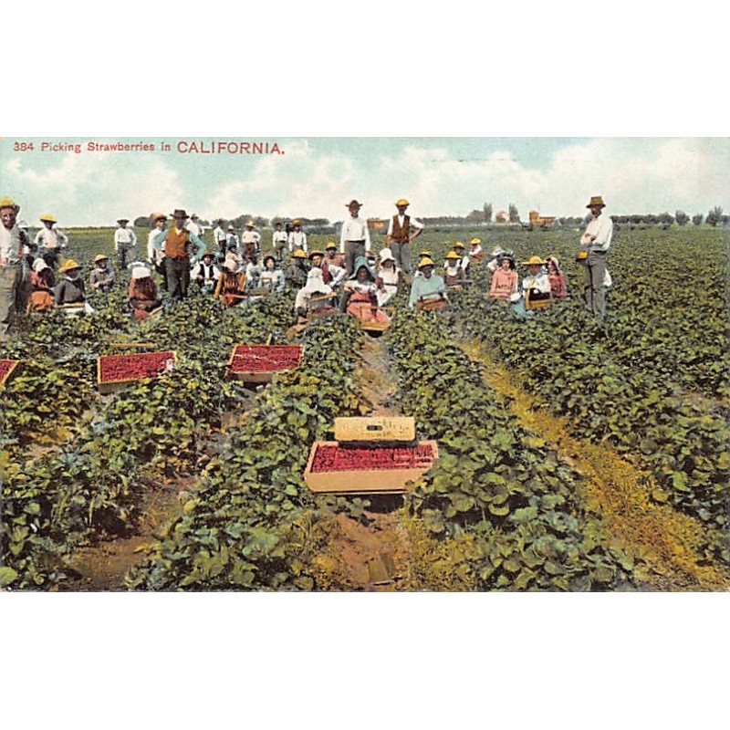 Rare collectable postcards of USA. Vintage Postcards of USA