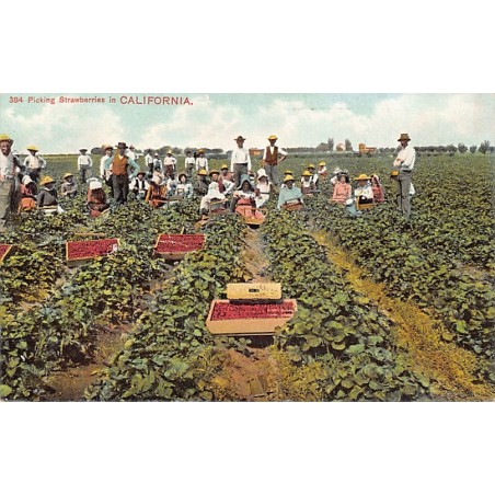 Rare collectable postcards of USA. Vintage Postcards of USA