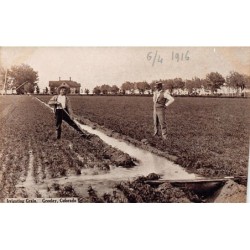 Rare collectable postcards of USA. Vintage Postcards of USA