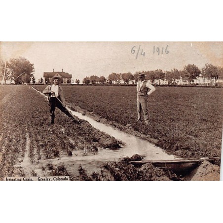 Rare collectable postcards of USA. Vintage Postcards of USA