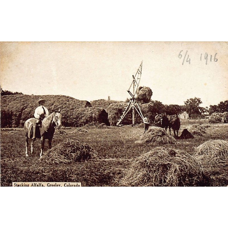 Rare collectable postcards of USA. Vintage Postcards of USA