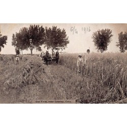 Rare collectable postcards of USA. Vintage Postcards of USA