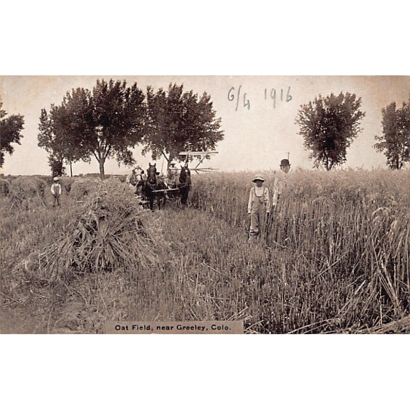 Rare collectable postcards of USA. Vintage Postcards of USA