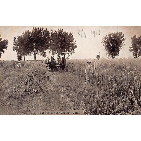 Rare collectable postcards of USA. Vintage Postcards of USA