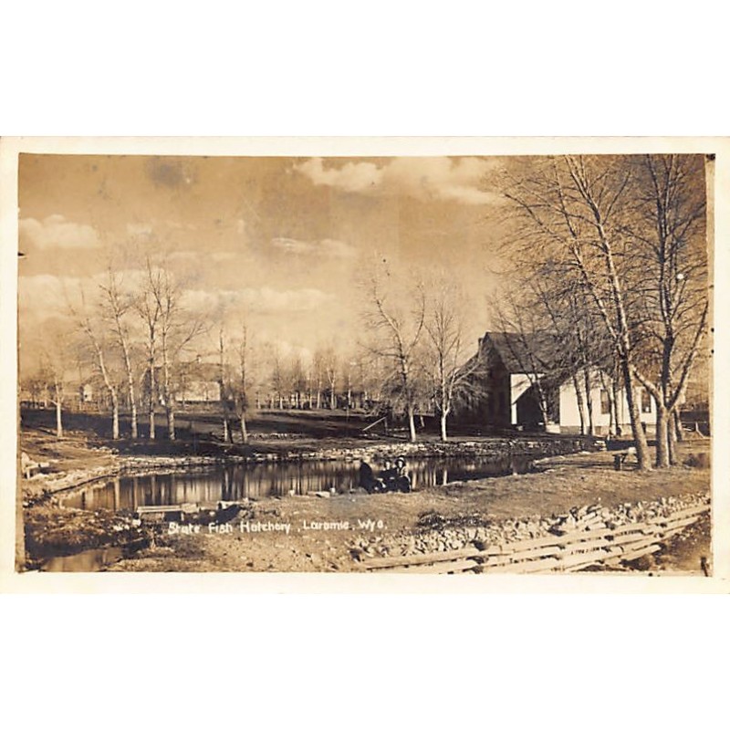 Rare collectable postcards of USA. Vintage Postcards of USA