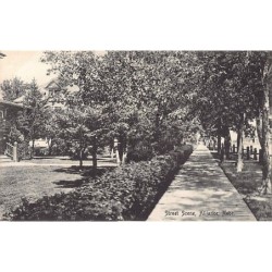 Rare collectable postcards of USA. Vintage Postcards of USA