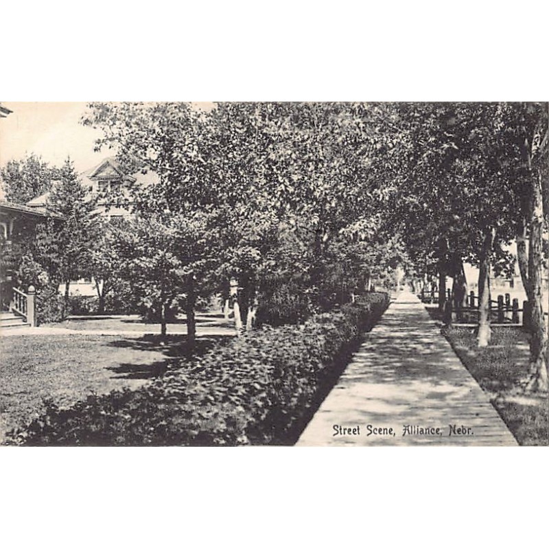 Rare collectable postcards of USA. Vintage Postcards of USA