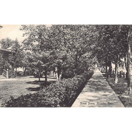 Rare collectable postcards of USA. Vintage Postcards of USA