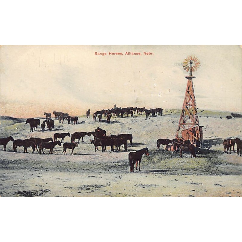 Rare collectable postcards of USA. Vintage Postcards of USA