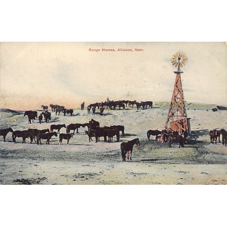 Rare collectable postcards of USA. Vintage Postcards of USA