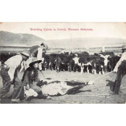 Rare collectable postcards of USA. Vintage Postcards of USA