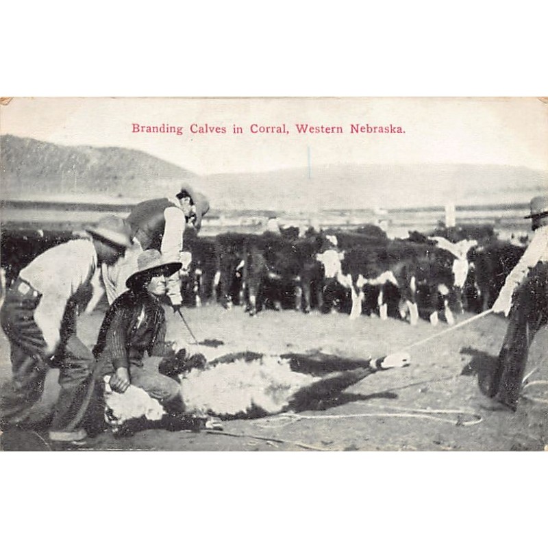 Rare collectable postcards of USA. Vintage Postcards of USA