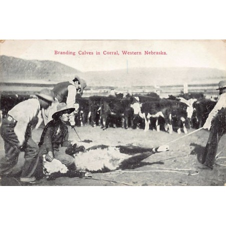 Rare collectable postcards of USA. Vintage Postcards of USA