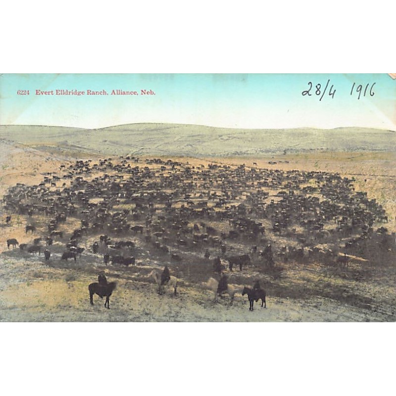 Rare collectable postcards of USA. Vintage Postcards of USA