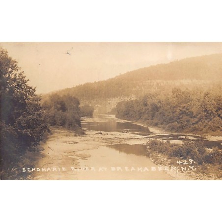 Rare collectable postcards of USA. Vintage Postcards of USA