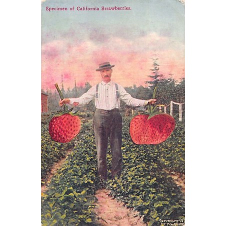 Rare collectable postcards of USA. Vintage Postcards of USA