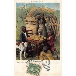 Rare collectable postcards of USA. Vintage Postcards of USA