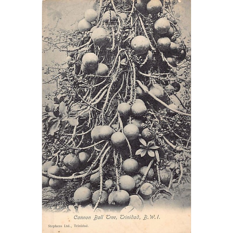 Rare collectable postcards of TRINIDAD & TOBAGO. Vintage Postcards of TRINIDAD & TOBAGO