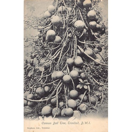 Rare collectable postcards of TRINIDAD & TOBAGO. Vintage Postcards of TRINIDAD & TOBAGO