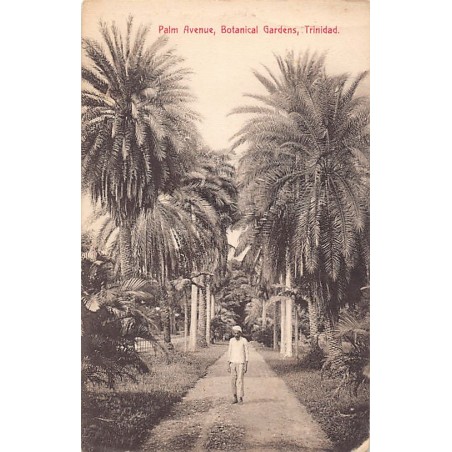 Rare collectable postcards of TRINIDAD & TOBAGO. Vintage Postcards of TRINIDAD & TOBAGO