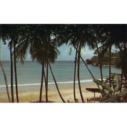Rare collectable postcards of TRINIDAD & TOBAGO. Vintage Postcards of TRINIDAD & TOBAGO