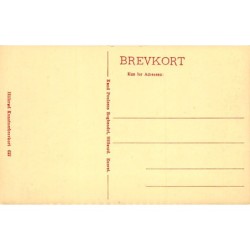 Rare collectable postcards of DENMARK. Vintage Postcards of DENMARK