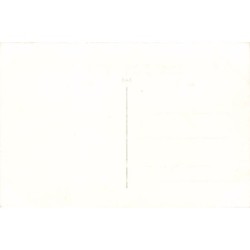 Rare collectable postcards of LEBANON. Vintage Postcards of LEBANON