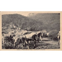 Rare collectable postcards of ITALY ITALIA. Vintage Postcards of ITALY ITALIA