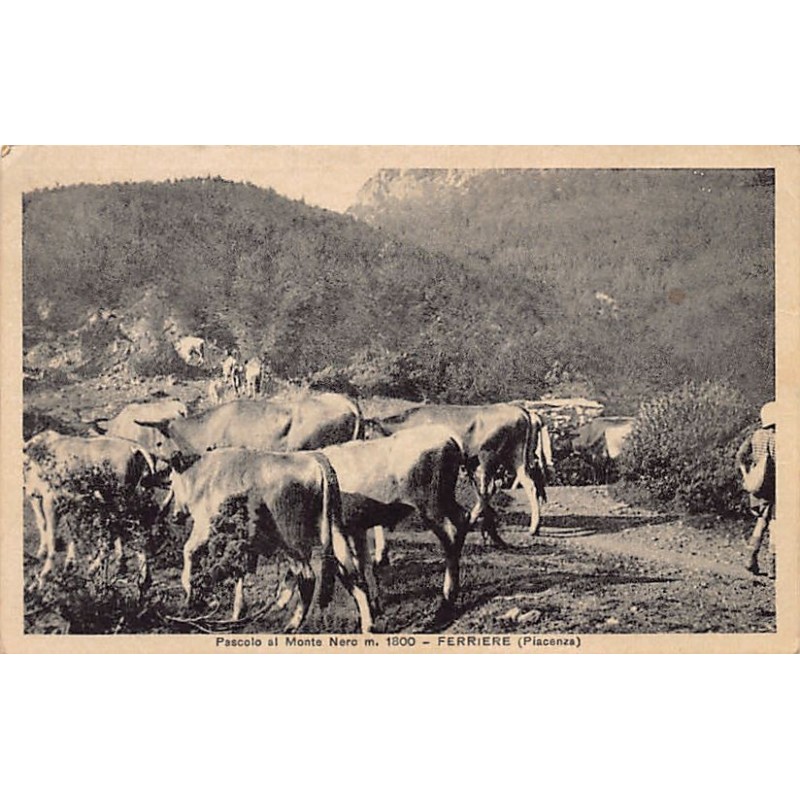 Rare collectable postcards of ITALY ITALIA. Vintage Postcards of ITALY ITALIA