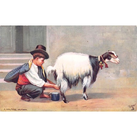 Rare collectable postcards of MALTA. Vintage Postcards of MALTA