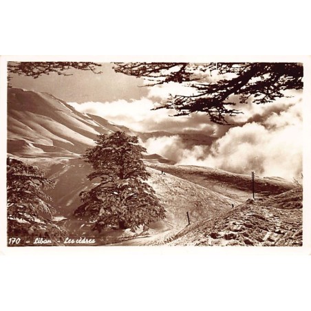 Rare collectable postcards of LEBANON. Vintage Postcards of LEBANON