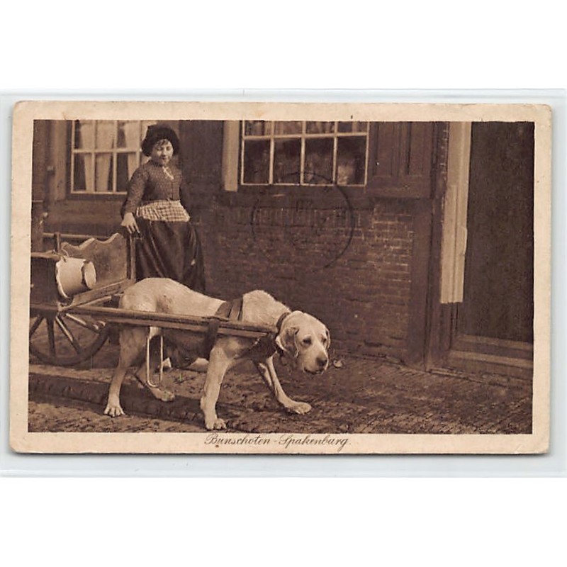 Rare collectable postcards of NETHERLANDS Nederland. Vintage Postcards of NETHERLANDS Nederland