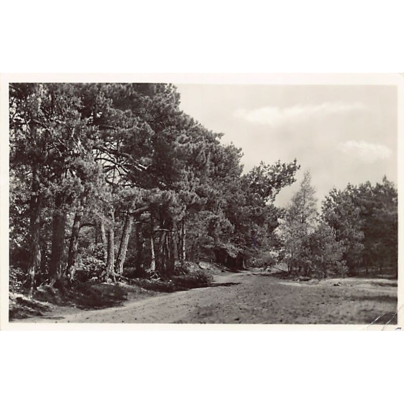 Rare collectable postcards of NETHERLANDS Nederland. Vintage Postcards of NETHERLANDS Nederland