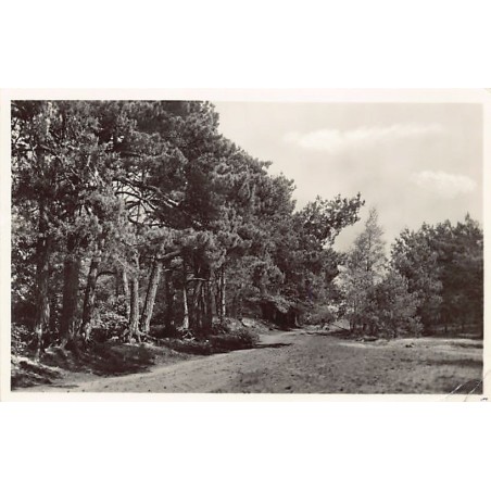 Rare collectable postcards of NETHERLANDS Nederland. Vintage Postcards of NETHERLANDS Nederland