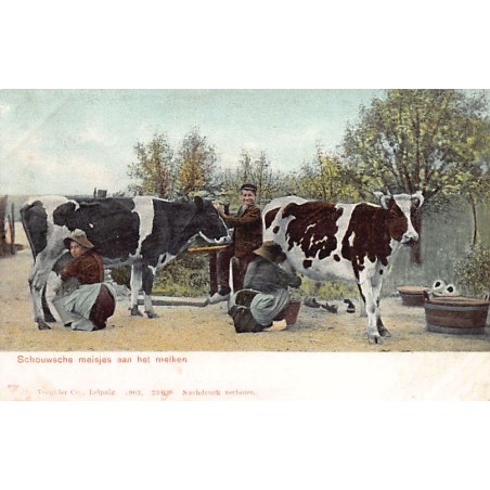 Rare collectable postcards of NETHERLANDS Nederland. Vintage Postcards of NETHERLANDS Nederland