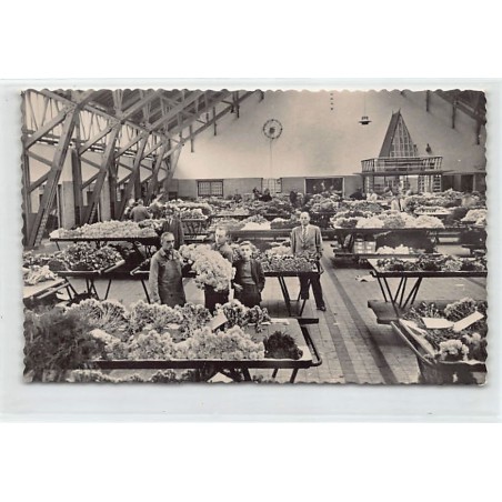 Rare collectable postcards of NETHERLANDS Nederland. Vintage Postcards of NETHERLANDS Nederland