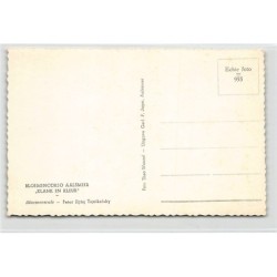 Rare collectable postcards of NETHERLANDS Nederland. Vintage Postcards of NETHERLANDS Nederland