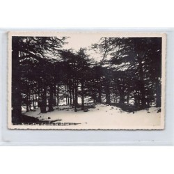 Rare collectable postcards of LEBANON. Vintage Postcards of LEBANON