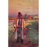 Rare collectable postcards of POLSKA. Vintage Postcards of POLSKA