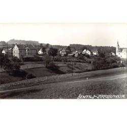 Rare collectable postcards of SLOVENIA. Vintage Postcards of SLOVENIA