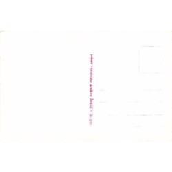 Rare collectable postcards of SLOVENIA. Vintage Postcards of SLOVENIA