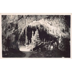 Rare collectable postcards of SLOVENIA. Vintage Postcards of SLOVENIA