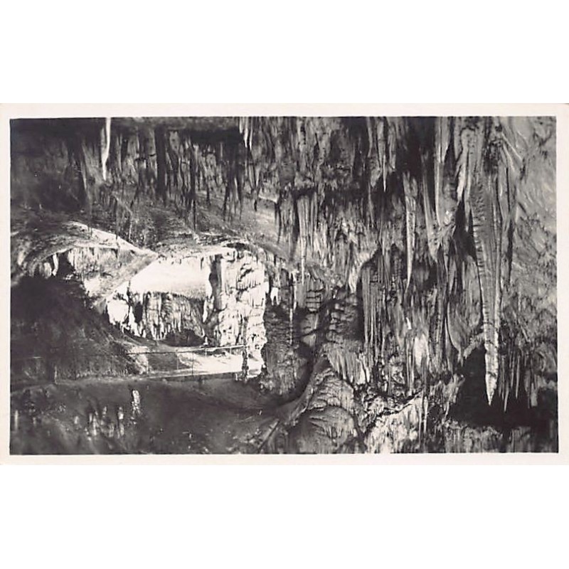 Rare collectable postcards of SLOVENIA. Vintage Postcards of SLOVENIA