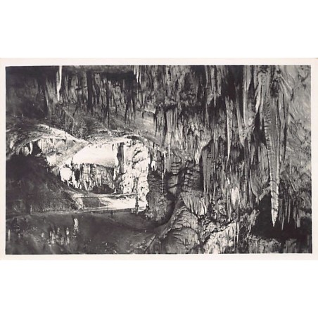 Rare collectable postcards of SLOVENIA. Vintage Postcards of SLOVENIA