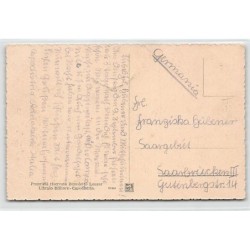 Rare collectable postcards of SLOVENIA. Vintage Postcards of SLOVENIA