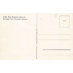 Rare collectable postcards of JUDAICA. Vintage Postcards of JUDAICA